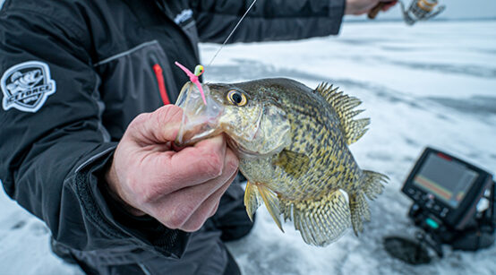 http://blog.iceforce.com/wp-content/uploads/jigs02-554x307.jpg