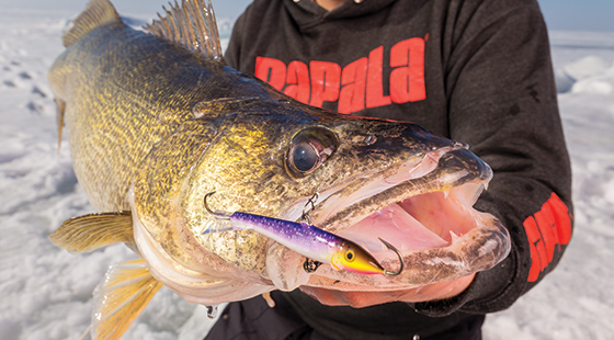 New Proven Custom Colors Will Trigger Big Bites When Using the Rapala® Slab  Rap® or the Rippin' Rap®, ICE FORCE