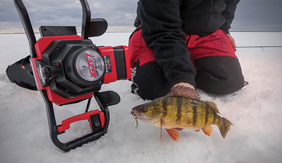 Blade Fishing Report: Perch fishing throttling back