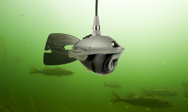 Best Underwater Fishing Camera: Ice & Murky Waters