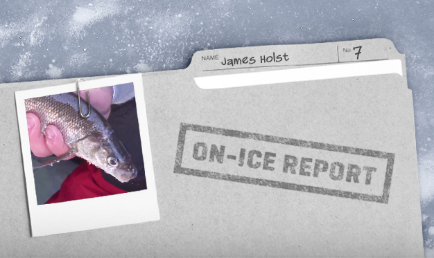 On-Ice Report #7, James Holst: Walleye Not Biting? Target Whitefish Instead