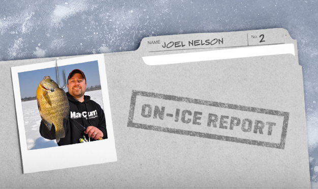 On-Ice Report #2 by Joel Nelson, ICE FORCE