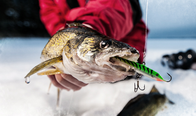 SHOW WALLEYE SOMETHING DIFFERENT THIS FALL - Rapala