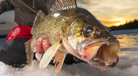 Ice Fishing Ultra Light Rippin Raps For Bluegills! 