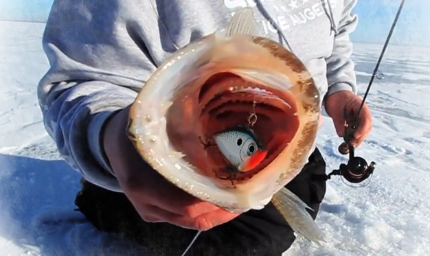 Winter Deep Water Tactics With The Rapala Rippin' Rap, ICE FORCE